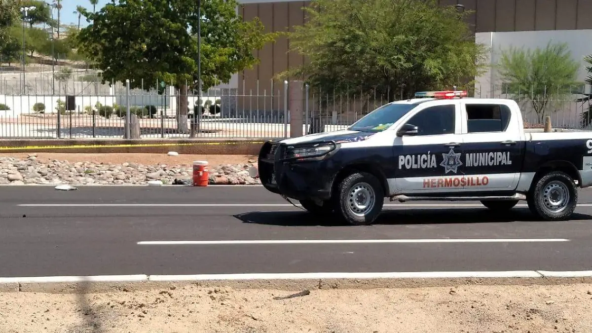 patrulla policia escena